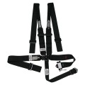 ARMOR Latch & Link with Late Model Style Ratchet Lap Assembly