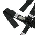 Latch & Link with Pull Down Lap (3" Buckle) view 3