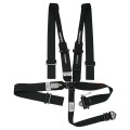Latch & Link with Ratcheting Lap Assembly