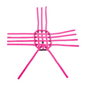 Quarter Midget Roll Cage Roof Net