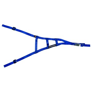 Sprint Roll Cage Net