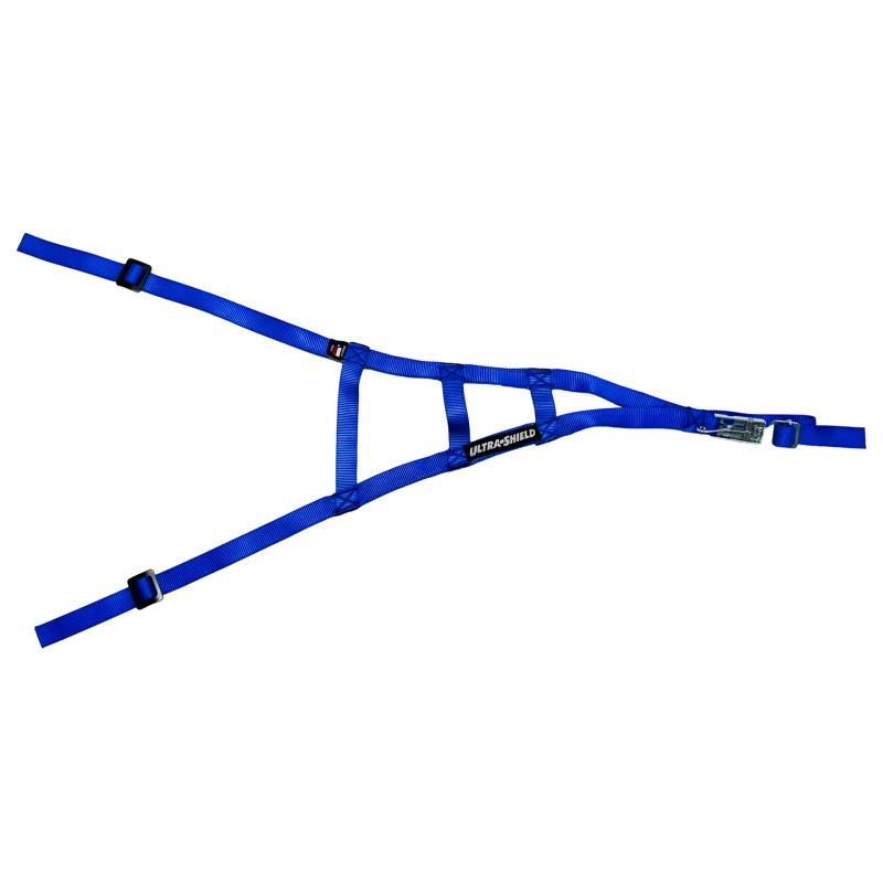 Sprint Roll Cage Net